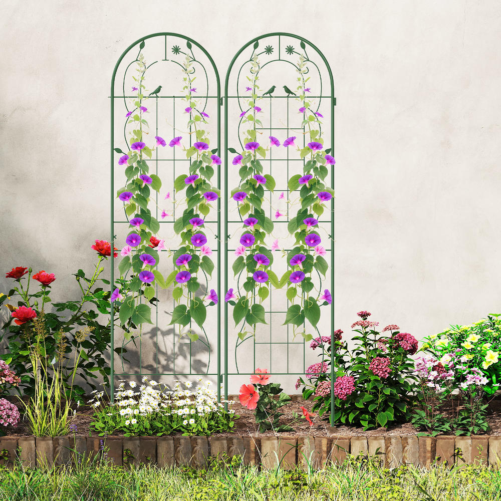Plants X - 4'lü Paket 71 X 20 İnç
