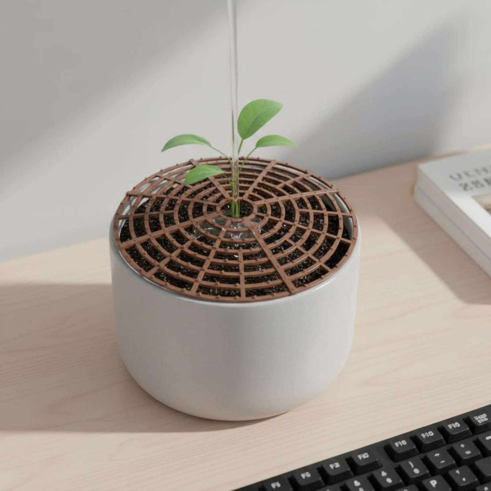 Parent Of Plant - Bitki saksısı toprak örtüsü hava koşullarına
