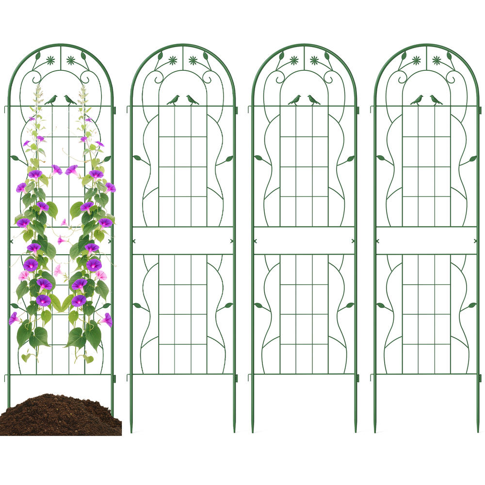 4'lü Paket 71 X 20 İnç Tırmana - Plants X incelemesi ve fiyatı