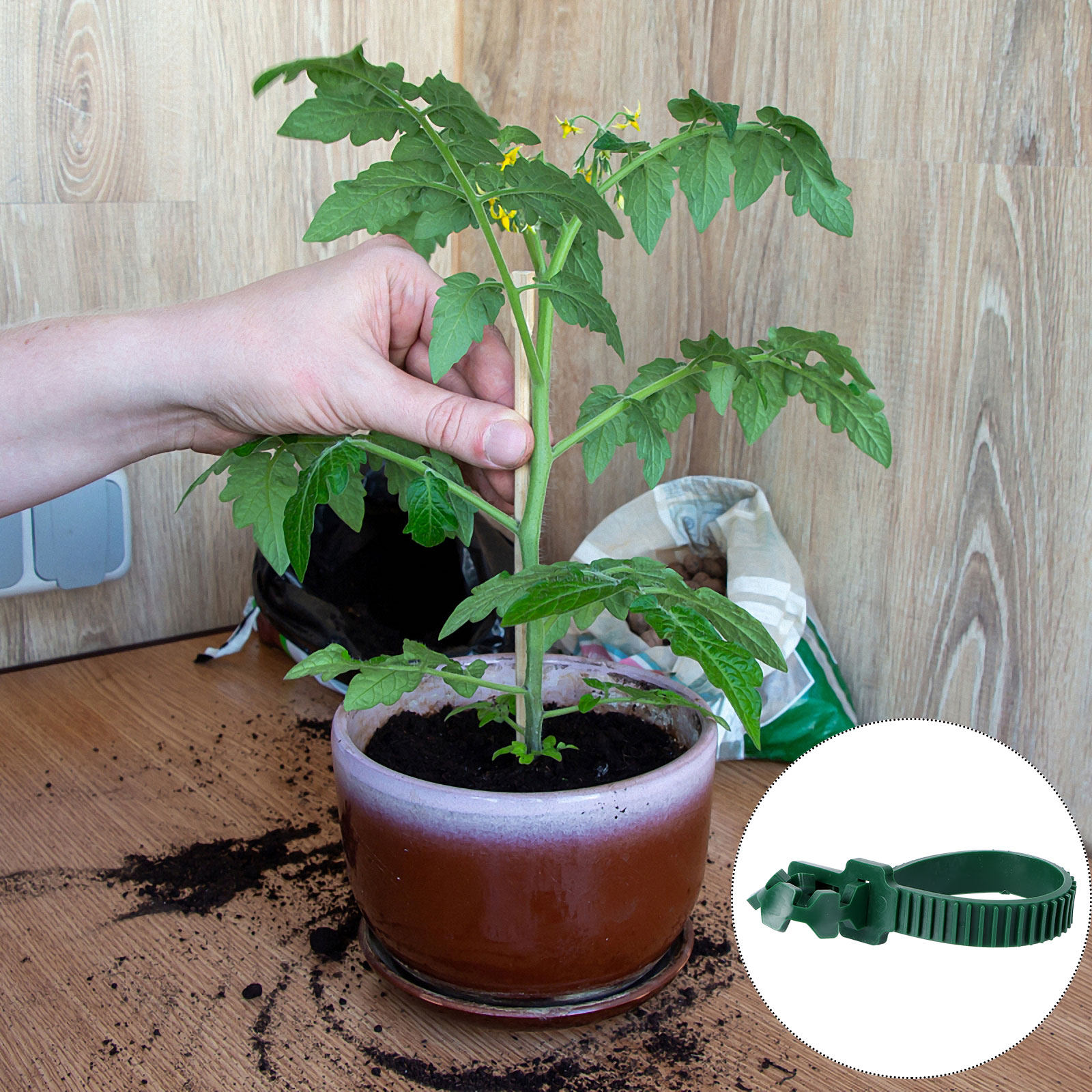 20 Adet Asma Bağlama Tokası Ba - Plants X incelemesi ve fiyatı